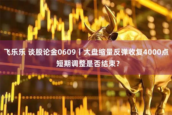 飞乐乐 谈股论金0609丨大盘缩量反弹收复4000点  短期调整是否结束？