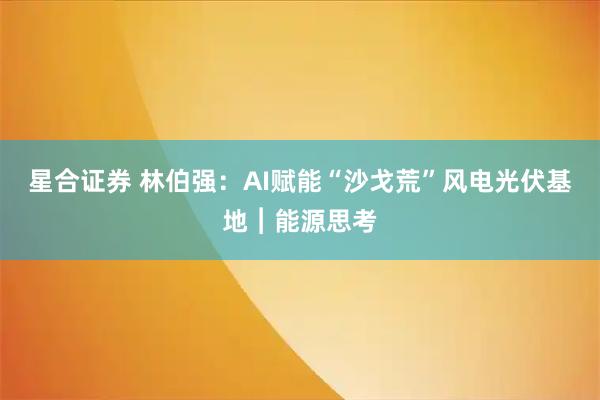 星合证券 林伯强：AI赋能“沙戈荒”风电光伏基地︱能源思考