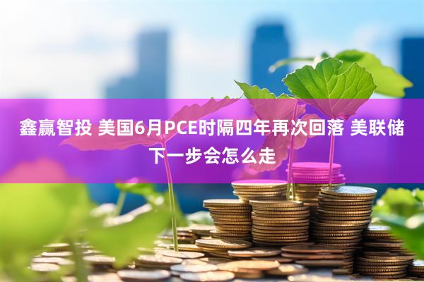 鑫赢智投 美国6月PCE时隔四年再次回落 美联储下一步会怎么走